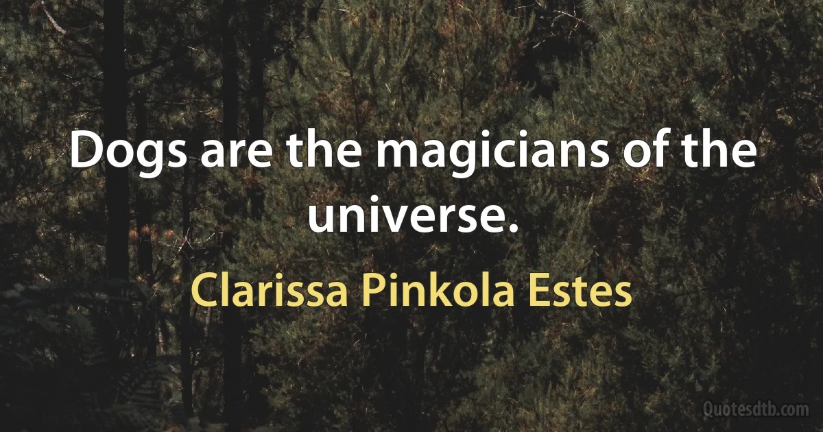 Dogs are the magicians of the universe. (Clarissa Pinkola Estes)