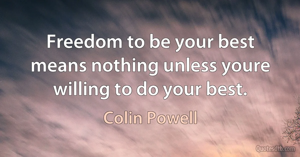 Freedom to be your best means nothing unless youre willing to do your best. (Colin Powell)