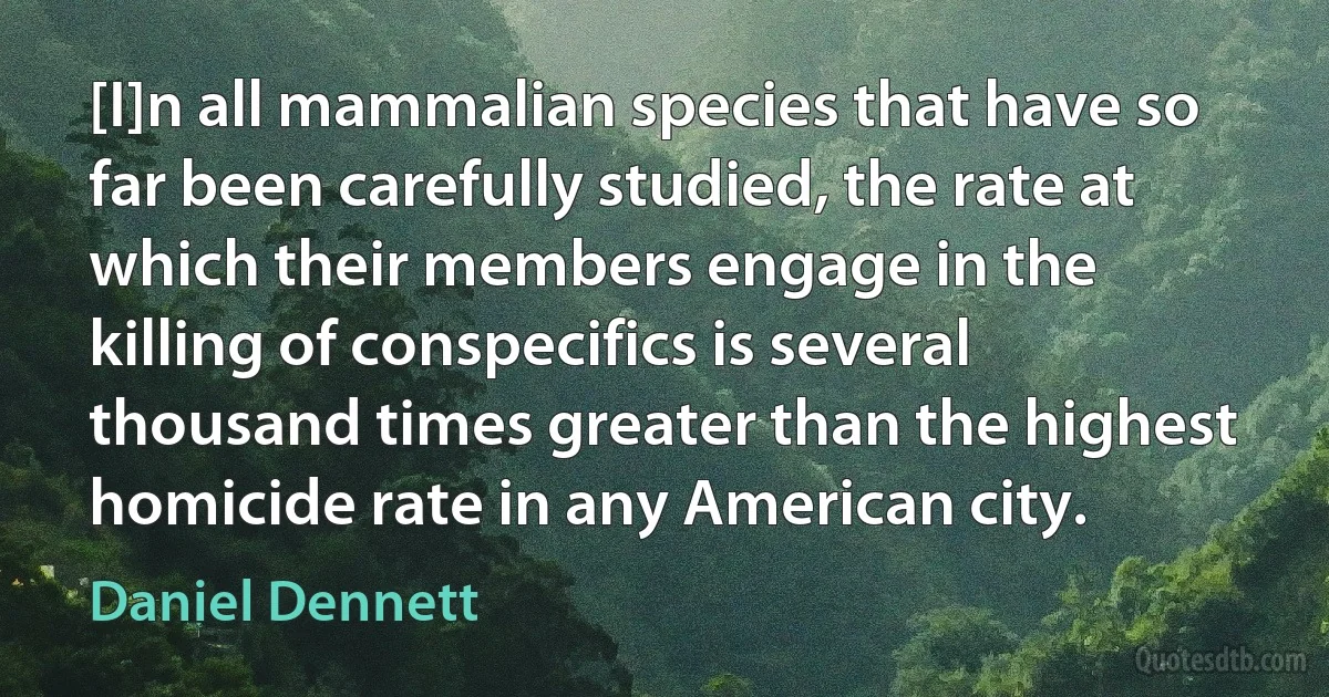 [I]n all mammalian species that have so far been carefully studied, the rate at which their members engage in the killing of conspecifics is several thousand times greater than the highest homicide rate in any American city. (Daniel Dennett)