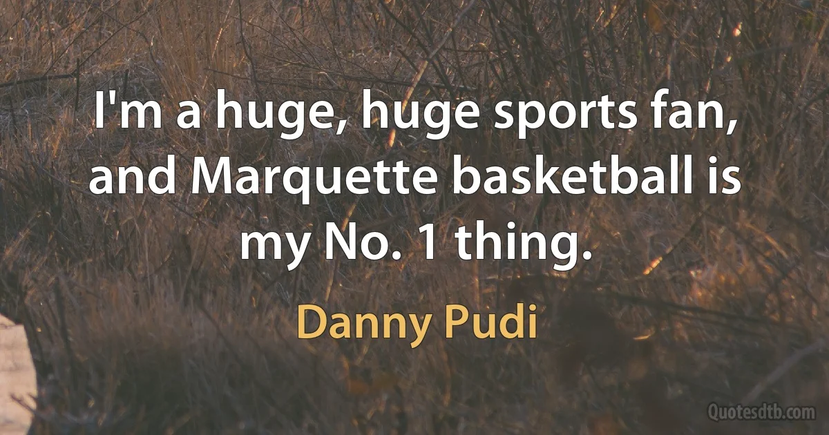 I'm a huge, huge sports fan, and Marquette basketball is my No. 1 thing. (Danny Pudi)