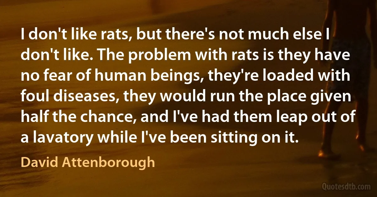 I don't like rats, but there's not much else I don't like. The problem with rats is they have no fear of human beings, they're loaded with foul diseases, they would run the place given half the chance, and I've had them leap out of a lavatory while I've been sitting on it. (David Attenborough)