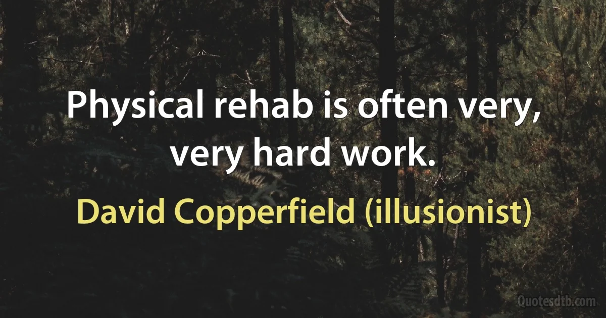 Physical rehab is often very, very hard work. (David Copperfield (illusionist))