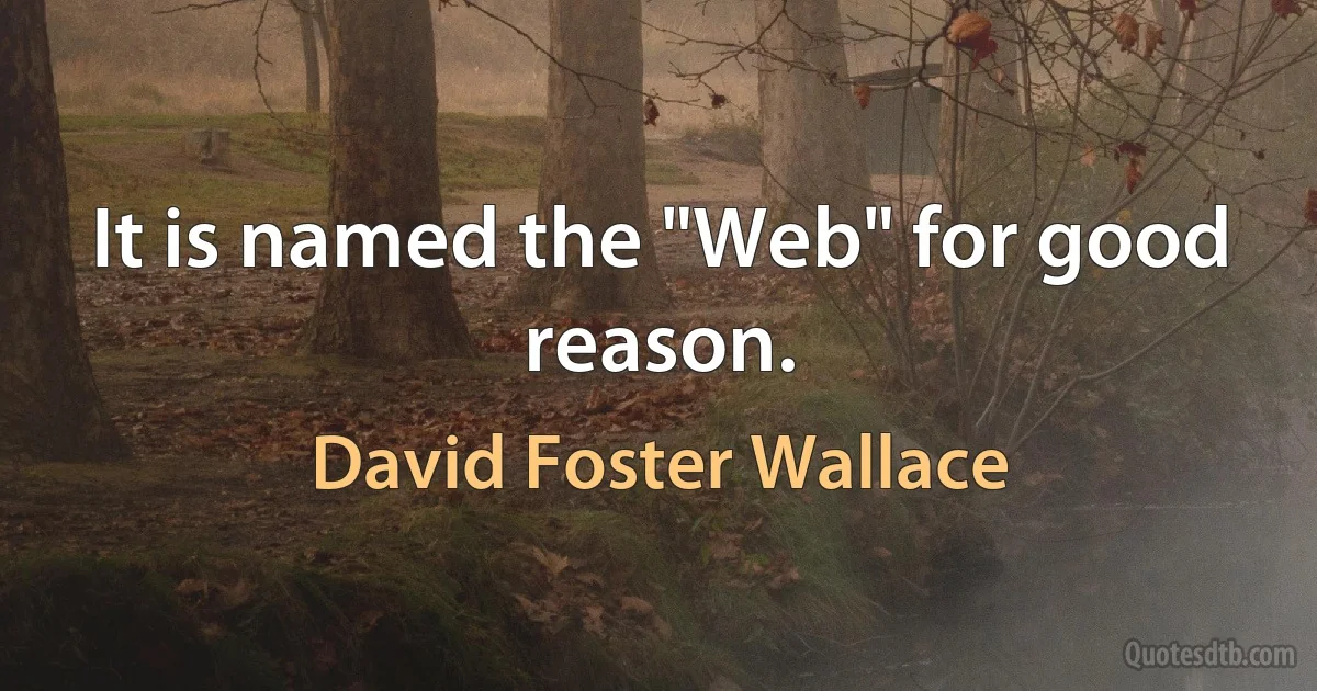 It is named the "Web" for good reason. (David Foster Wallace)