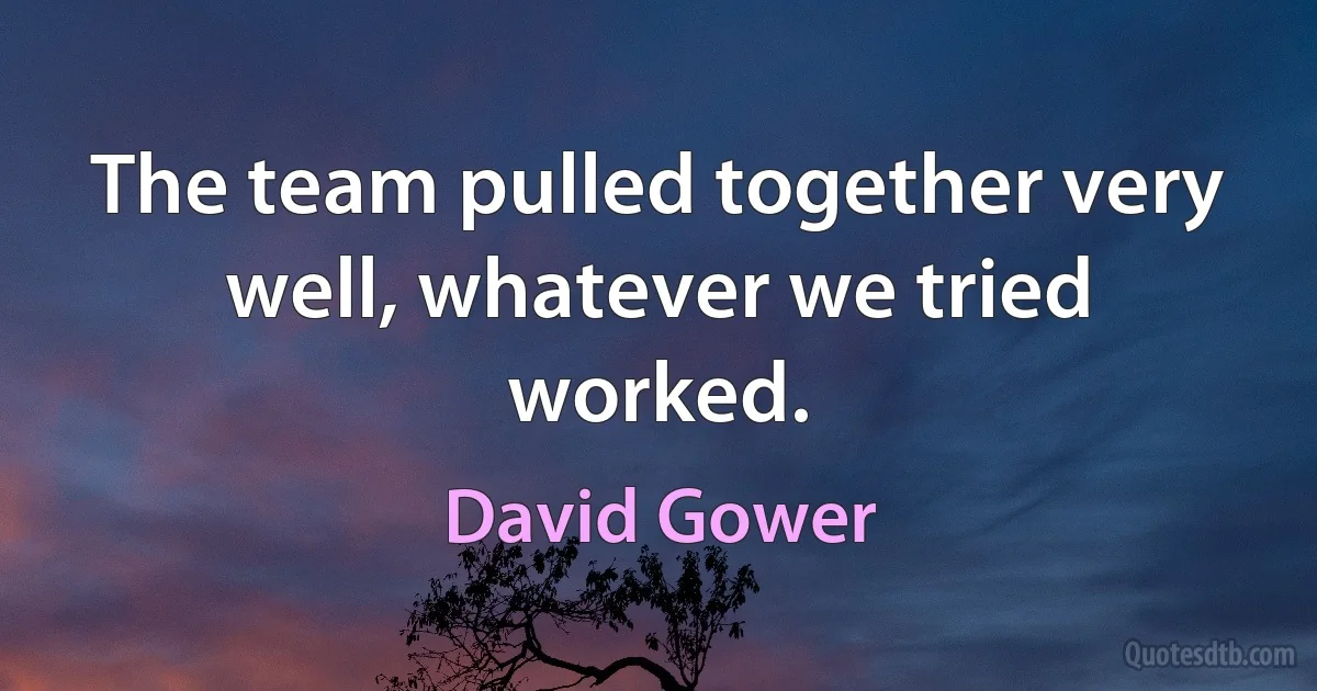 The team pulled together very well, whatever we tried worked. (David Gower)