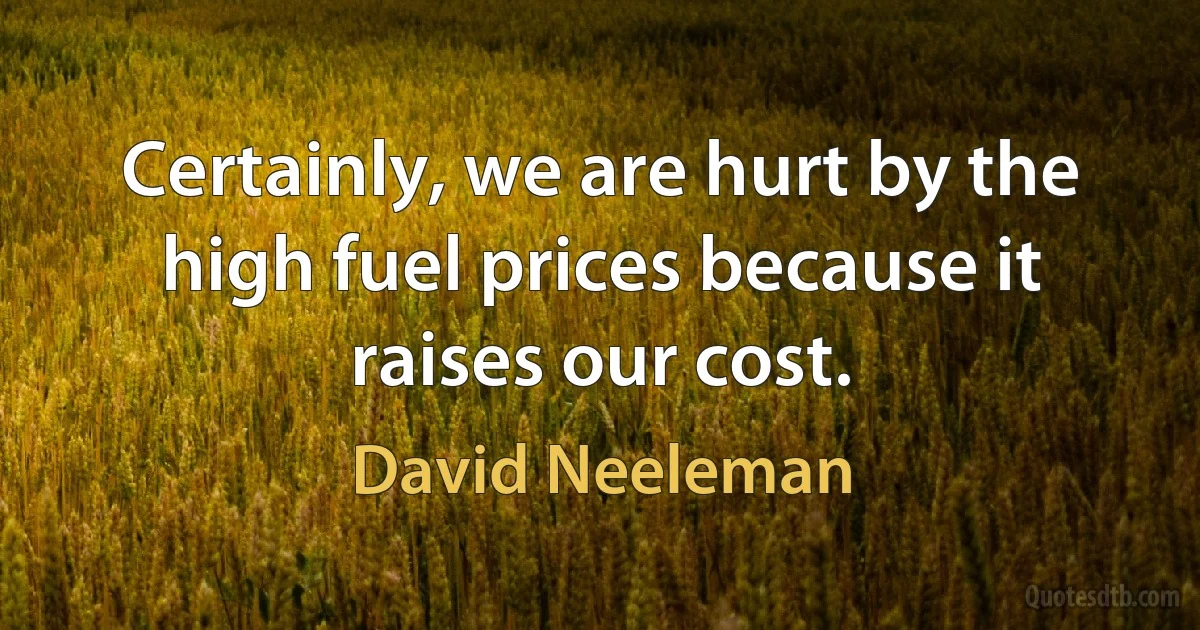 Certainly, we are hurt by the high fuel prices because it raises our cost. (David Neeleman)