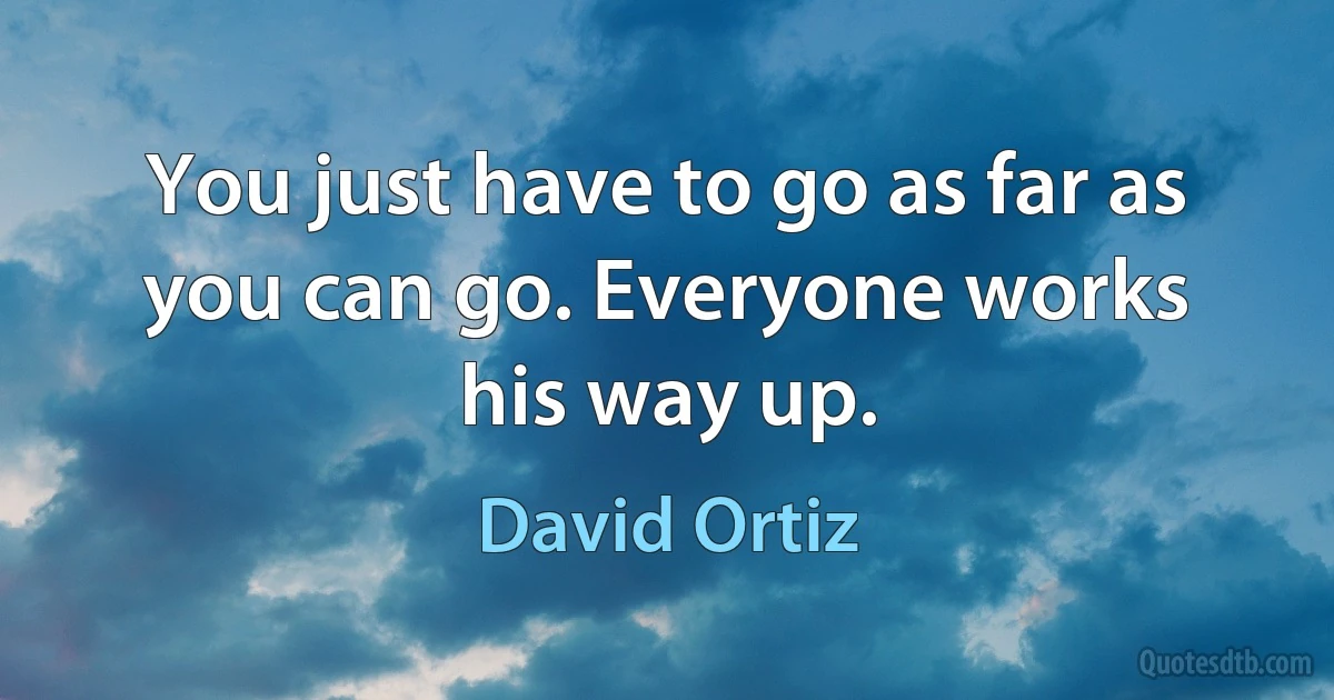 You just have to go as far as you can go. Everyone works his way up. (David Ortiz)