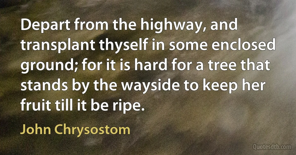 Depart from the highway, and transplant thyself in some enclosed ground; for it is hard for a tree that stands by the wayside to keep her fruit till it be ripe. (John Chrysostom)