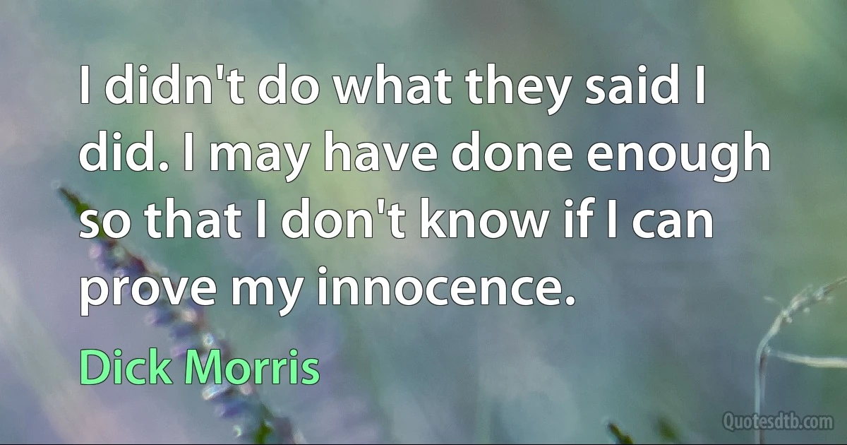 I didn't do what they said I did. I may have done enough so that I don't know if I can prove my innocence. (Dick Morris)