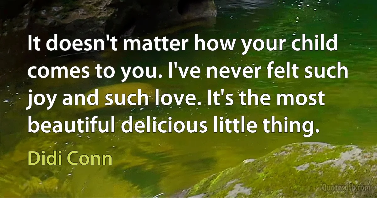 It doesn't matter how your child comes to you. I've never felt such joy and such love. It's the most beautiful delicious little thing. (Didi Conn)