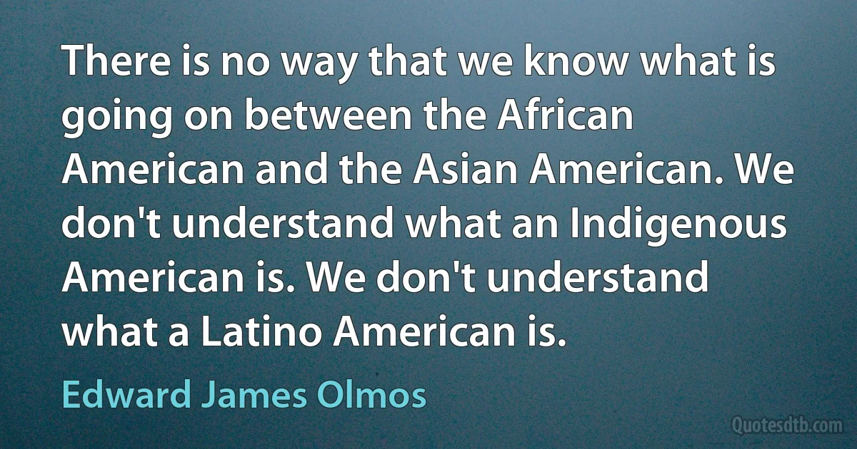 There is no way that we know what is going on between the African American and the Asian American. We don't understand what an Indigenous American is. We don't understand what a Latino American is. (Edward James Olmos)