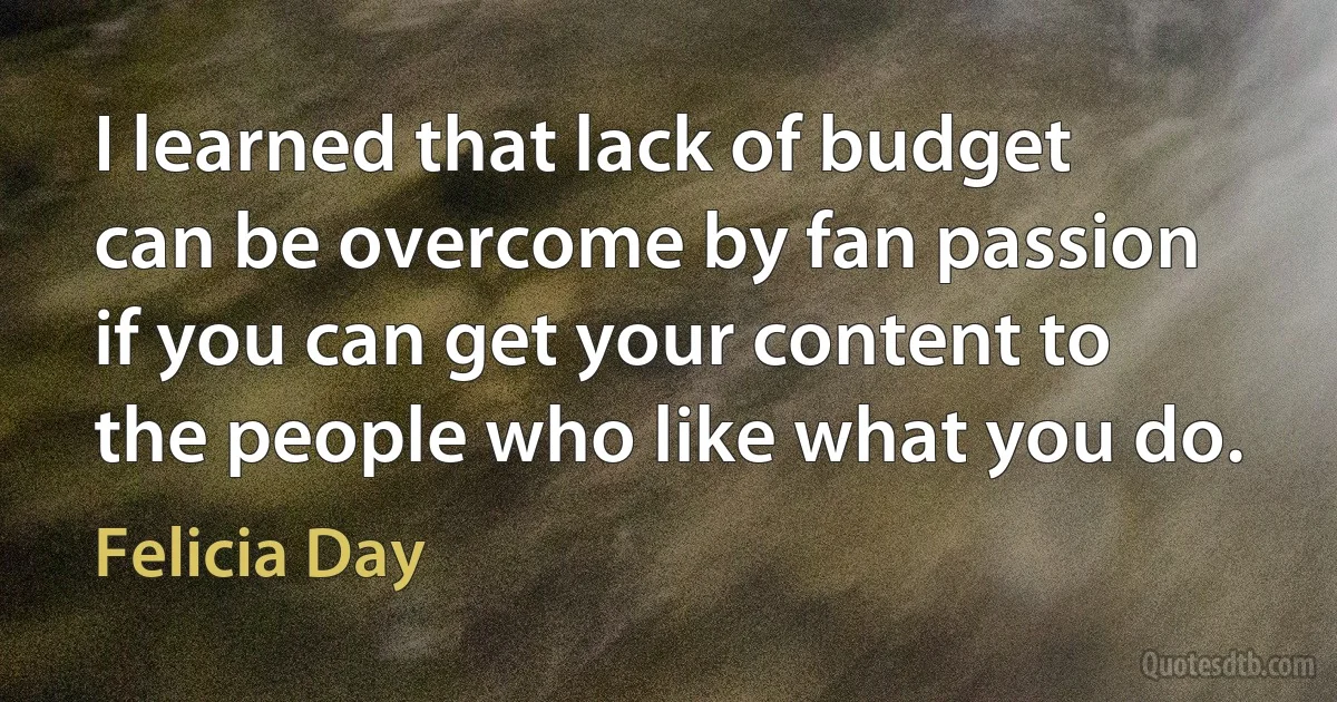 I learned that lack of budget can be overcome by fan passion if you can get your content to the people who like what you do. (Felicia Day)