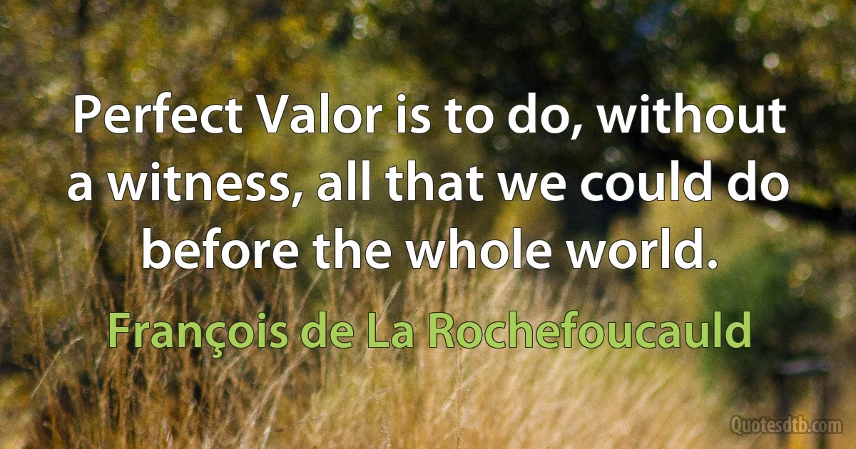 Perfect Valor is to do, without a witness, all that we could do before the whole world. (François de La Rochefoucauld)