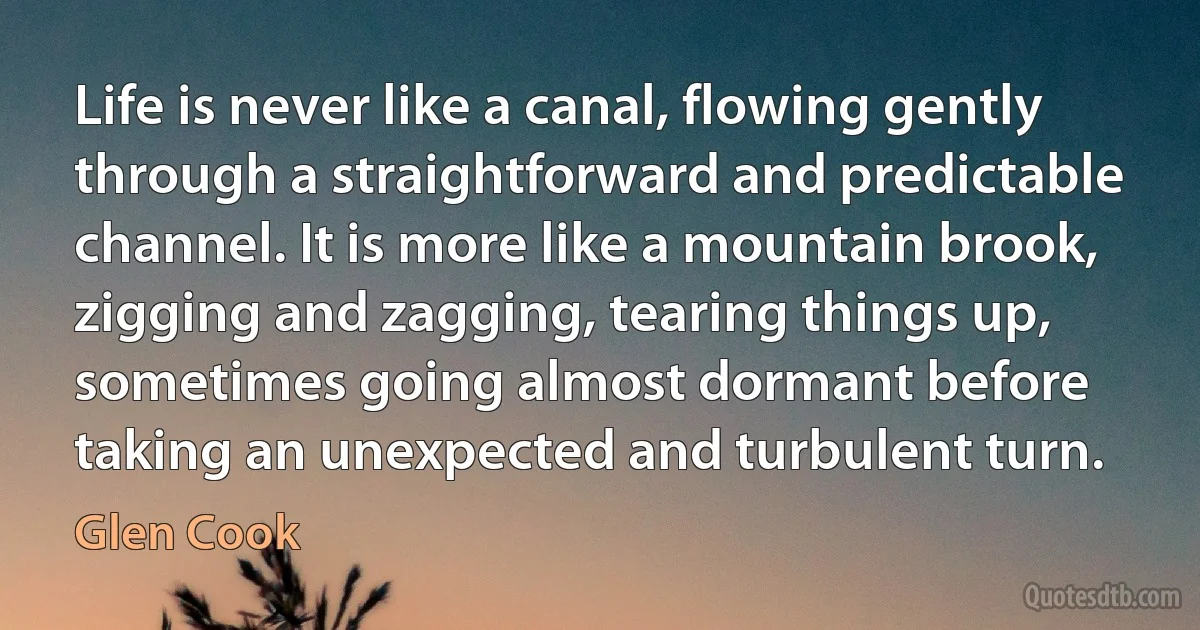 Life is never like a canal, flowing gently through a straightforward and predictable channel. It is more like a mountain brook, zigging and zagging, tearing things up, sometimes going almost dormant before taking an unexpected and turbulent turn. (Glen Cook)