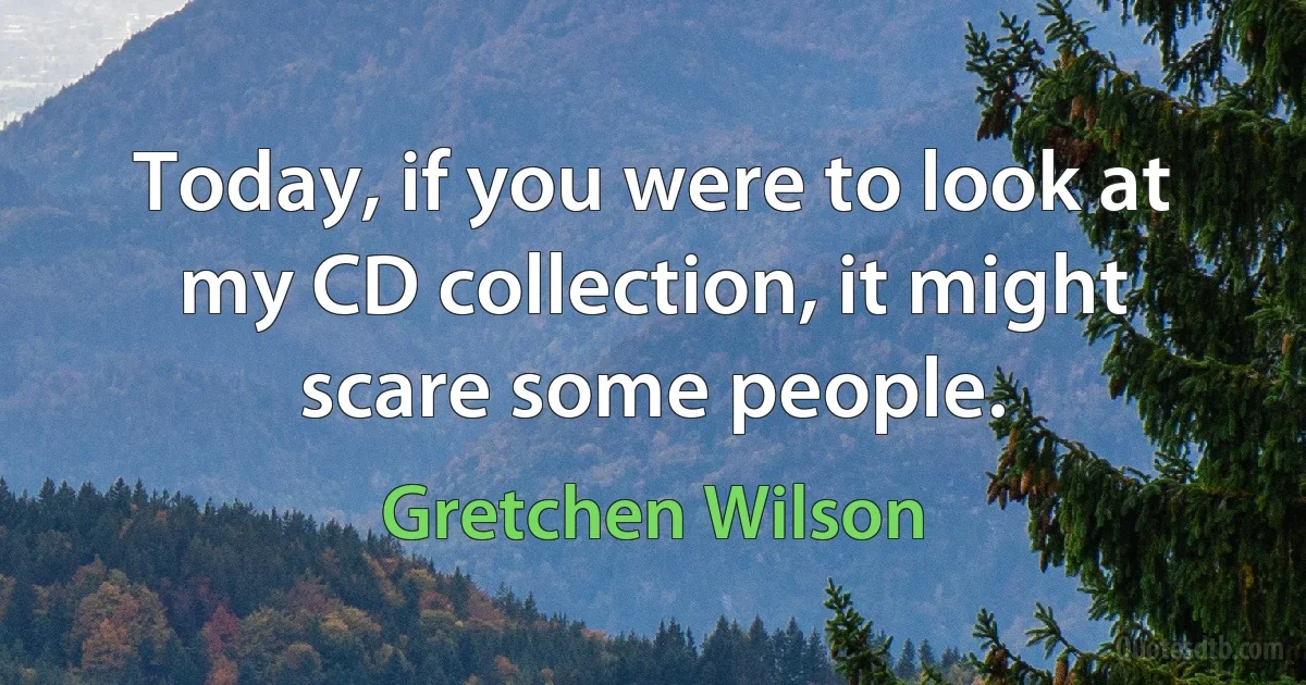 Today, if you were to look at my CD collection, it might scare some people. (Gretchen Wilson)