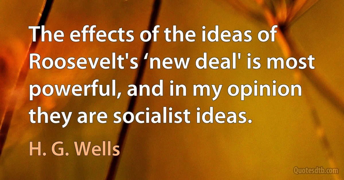 The effects of the ideas of Roosevelt's ‘new deal' is most powerful, and in my opinion they are socialist ideas. (H. G. Wells)