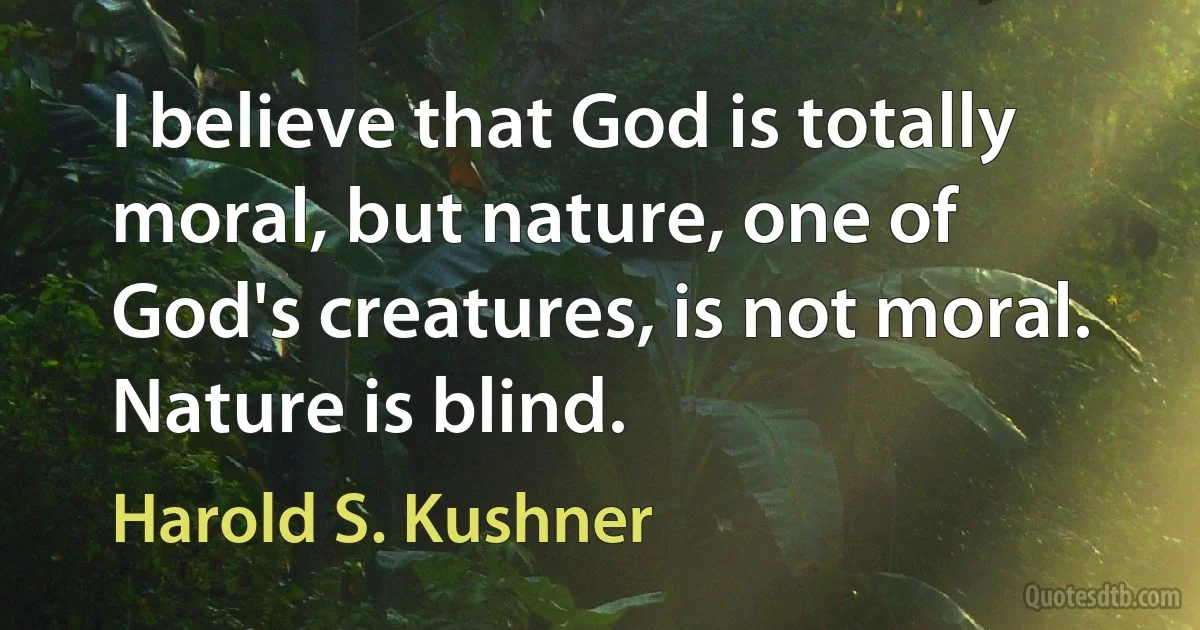 I believe that God is totally moral, but nature, one of God's creatures, is not moral. Nature is blind. (Harold S. Kushner)