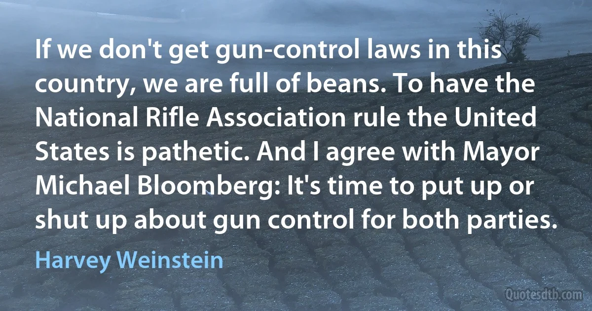 If we don't get gun-control laws in this country, we are full of beans. To have the National Rifle Association rule the United States is pathetic. And I agree with Mayor Michael Bloomberg: It's time to put up or shut up about gun control for both parties. (Harvey Weinstein)