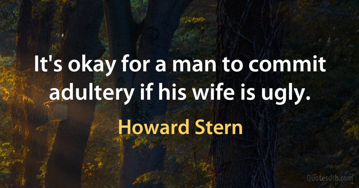 It's okay for a man to commit adultery if his wife is ugly. (Howard Stern)