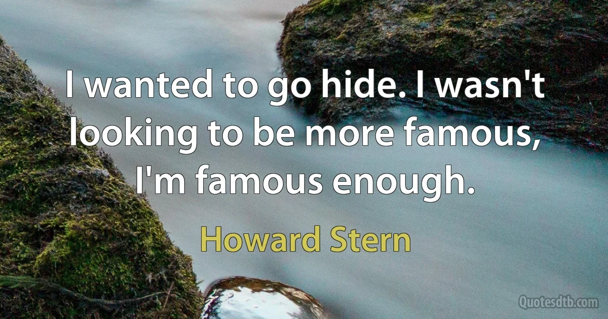 I wanted to go hide. I wasn't looking to be more famous, I'm famous enough. (Howard Stern)