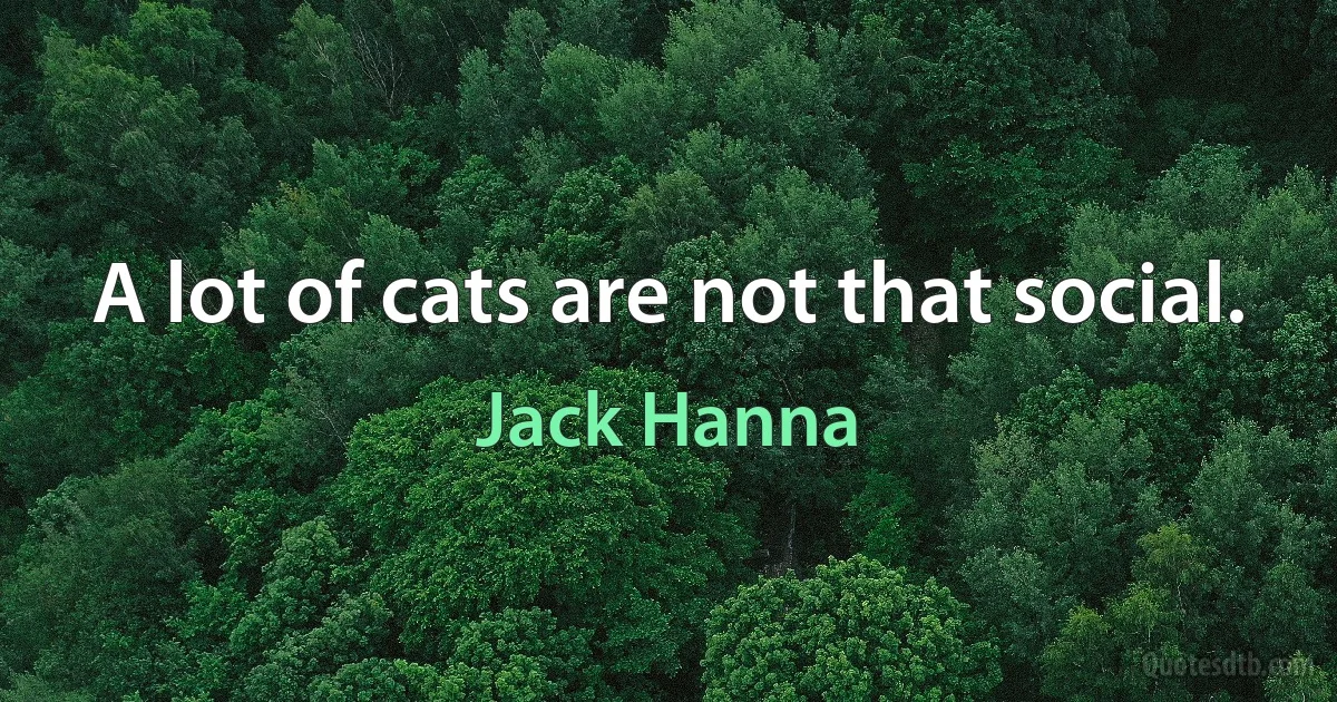 A lot of cats are not that social. (Jack Hanna)