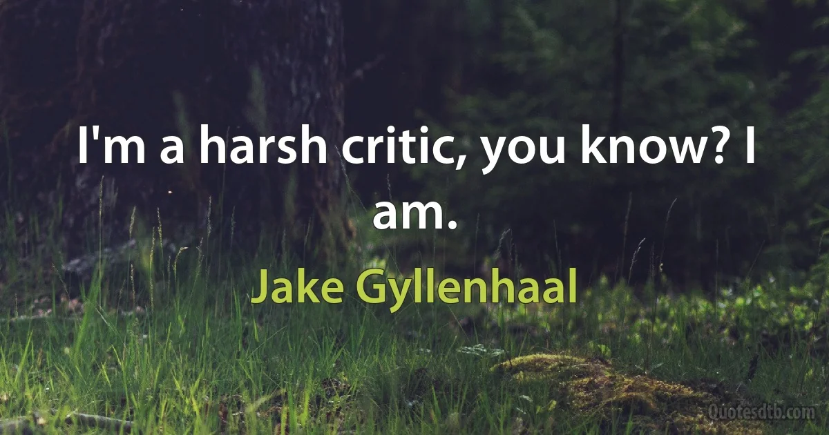 I'm a harsh critic, you know? I am. (Jake Gyllenhaal)