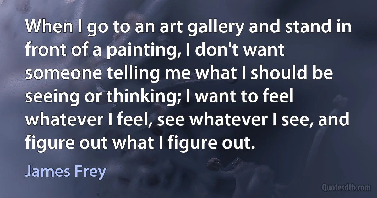 When I go to an art gallery and stand in front of a painting, I don't want someone telling me what I should be seeing or thinking; I want to feel whatever I feel, see whatever I see, and figure out what I figure out. (James Frey)