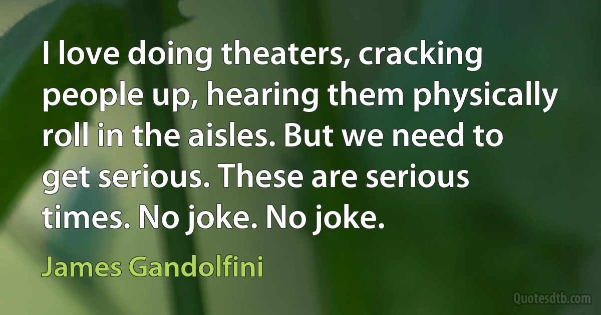 I love doing theaters, cracking people up, hearing them physically roll in the aisles. But we need to get serious. These are serious times. No joke. No joke. (James Gandolfini)