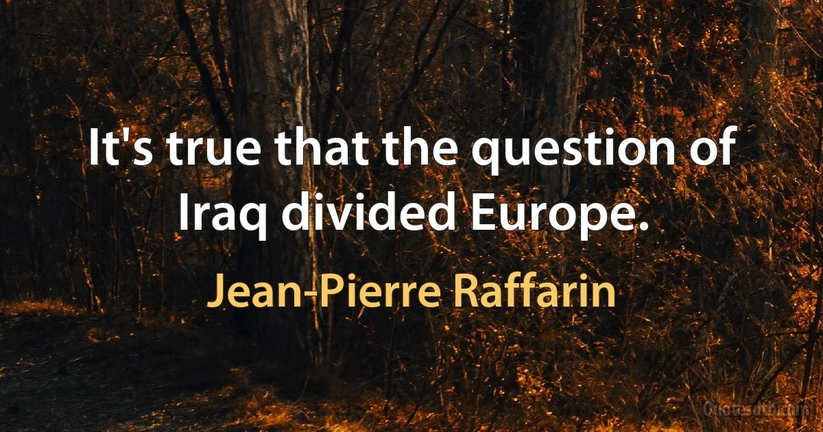 It's true that the question of Iraq divided Europe. (Jean-Pierre Raffarin)