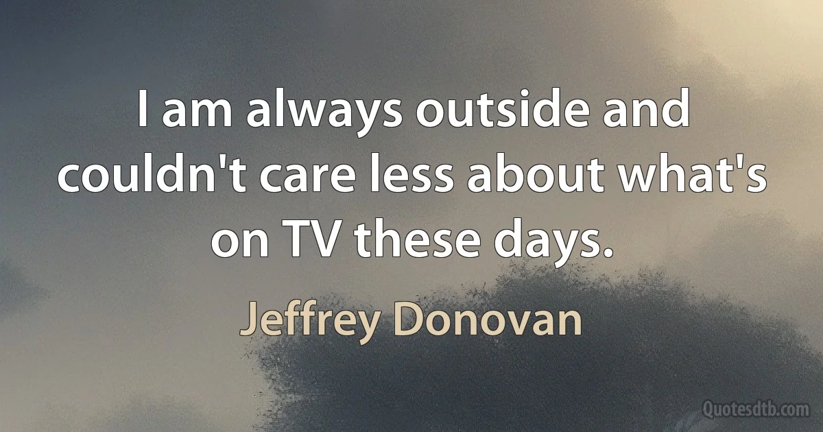 I am always outside and couldn't care less about what's on TV these days. (Jeffrey Donovan)