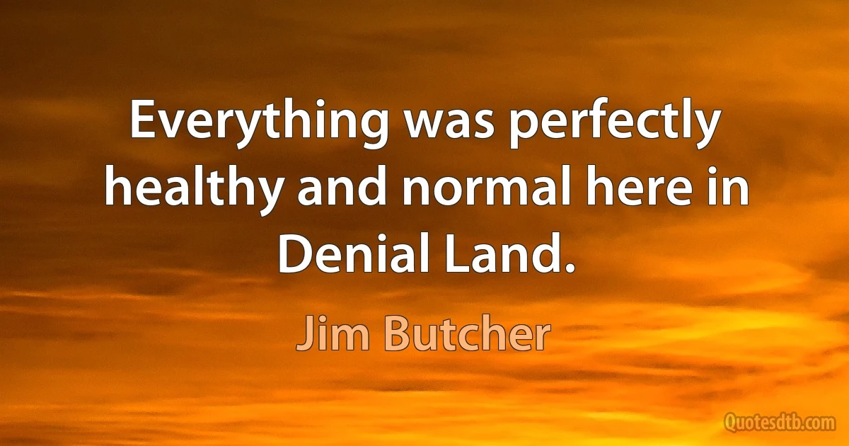 Everything was perfectly healthy and normal here in Denial Land. (Jim Butcher)