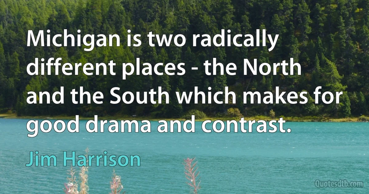 Michigan is two radically different places - the North and the South which makes for good drama and contrast. (Jim Harrison)