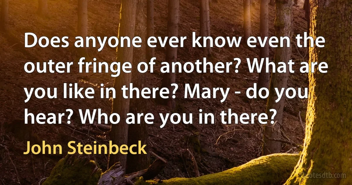 Does anyone ever know even the outer fringe of another? What are you like in there? Mary - do you hear? Who are you in there? (John Steinbeck)