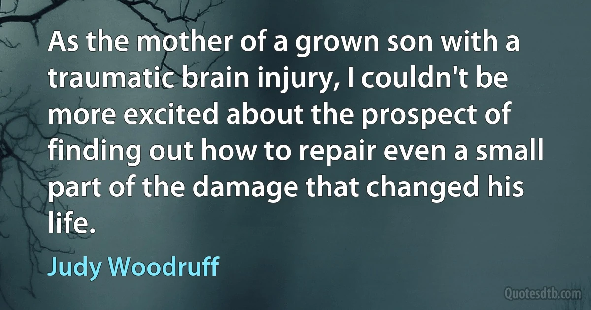 As the mother of a grown son with a traumatic brain injury, I couldn't be more excited about the prospect of finding out how to repair even a small part of the damage that changed his life. (Judy Woodruff)