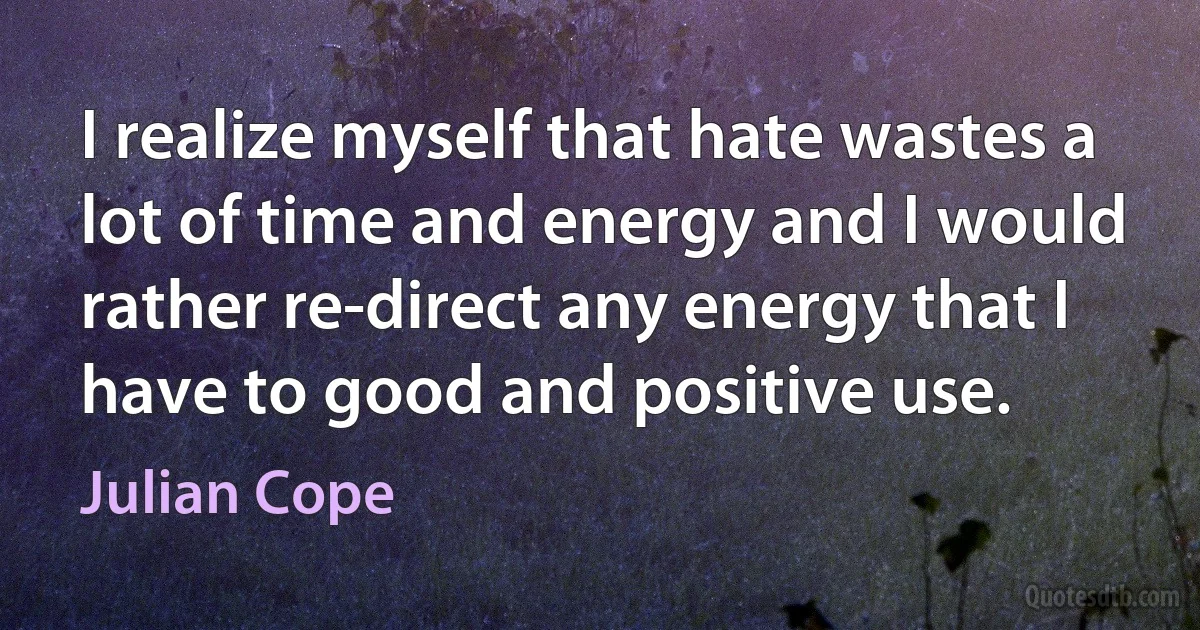 I realize myself that hate wastes a lot of time and energy and I would rather re-direct any energy that I have to good and positive use. (Julian Cope)