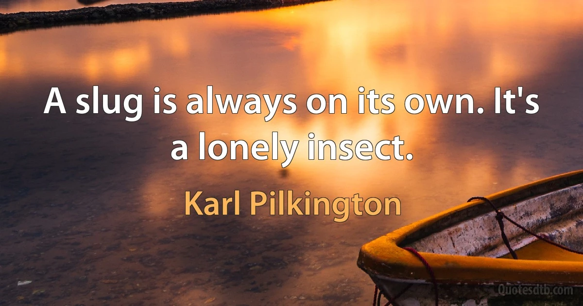 A slug is always on its own. It's a lonely insect. (Karl Pilkington)