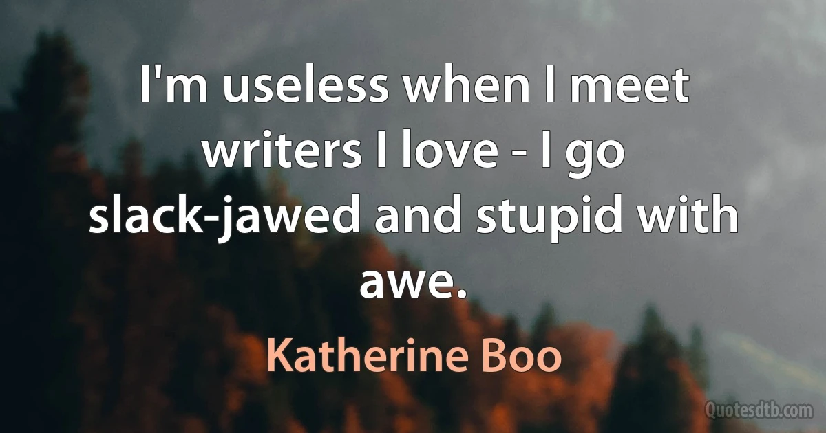 I'm useless when I meet writers I love - I go slack-jawed and stupid with awe. (Katherine Boo)