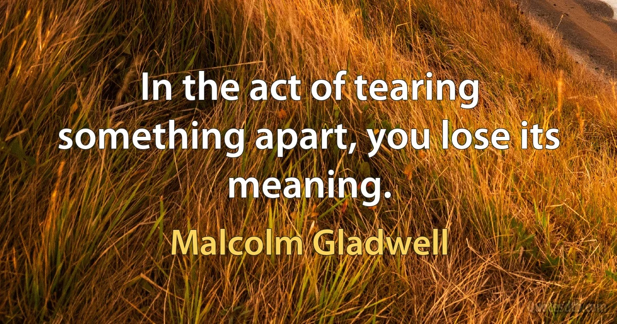 In the act of tearing something apart, you lose its meaning. (Malcolm Gladwell)