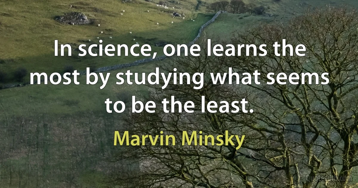 In science, one learns the most by studying what seems to be the least. (Marvin Minsky)