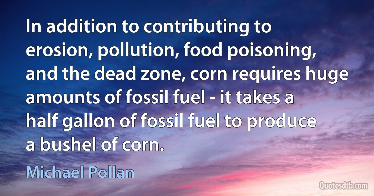 In addition to contributing to erosion, pollution, food poisoning, and the dead zone, corn requires huge amounts of fossil fuel - it takes a half gallon of fossil fuel to produce a bushel of corn. (Michael Pollan)