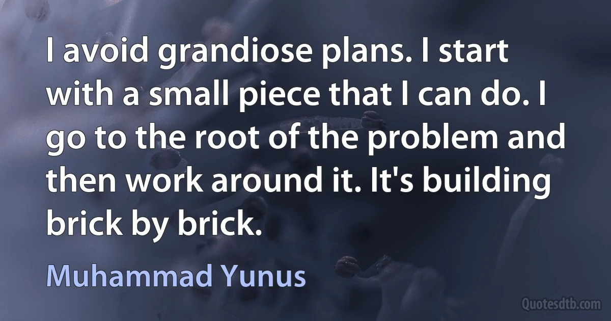 I avoid grandiose plans. I start with a small piece that I can do. I go to the root of the problem and then work around it. It's building brick by brick. (Muhammad Yunus)