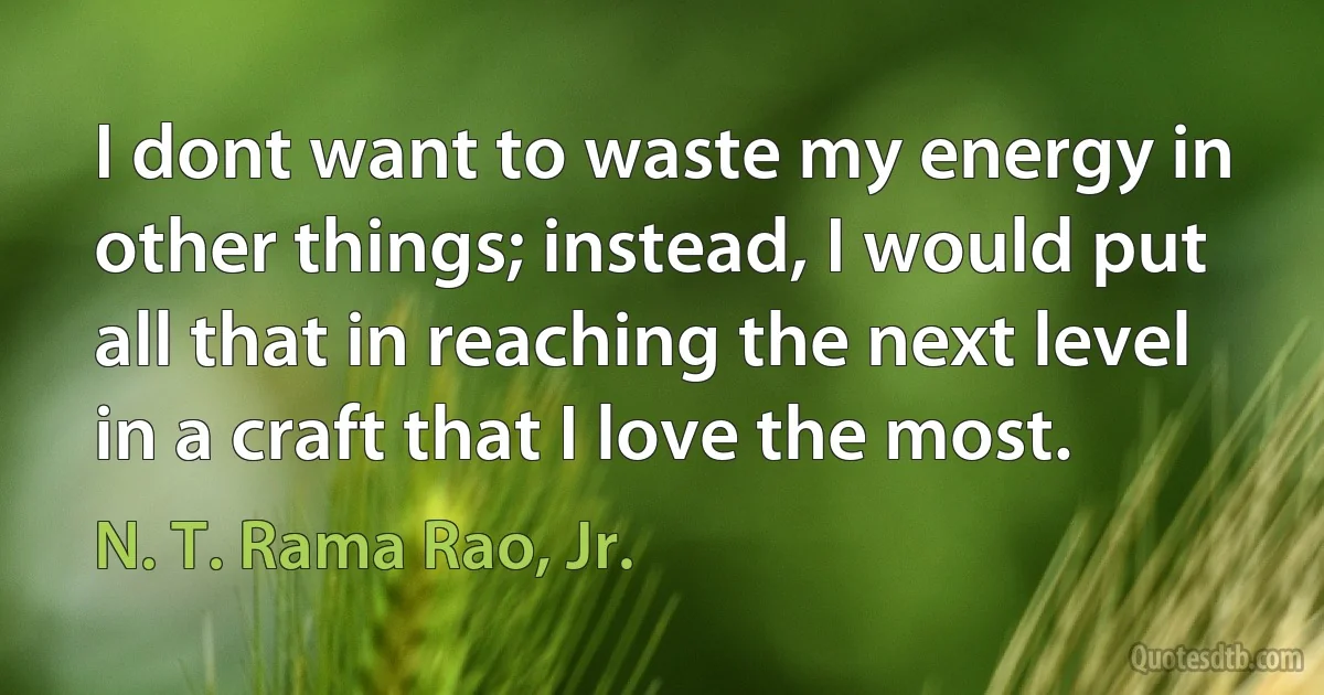 I dont want to waste my energy in other things; instead, I would put all that in reaching the next level in a craft that I love the most. (N. T. Rama Rao, Jr.)