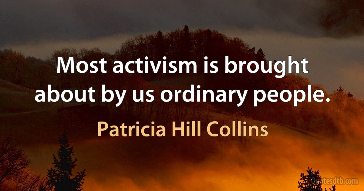 Most activism is brought about by us ordinary people. (Patricia Hill Collins)