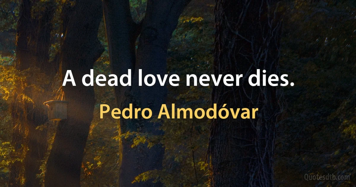 A dead love never dies. (Pedro Almodóvar)