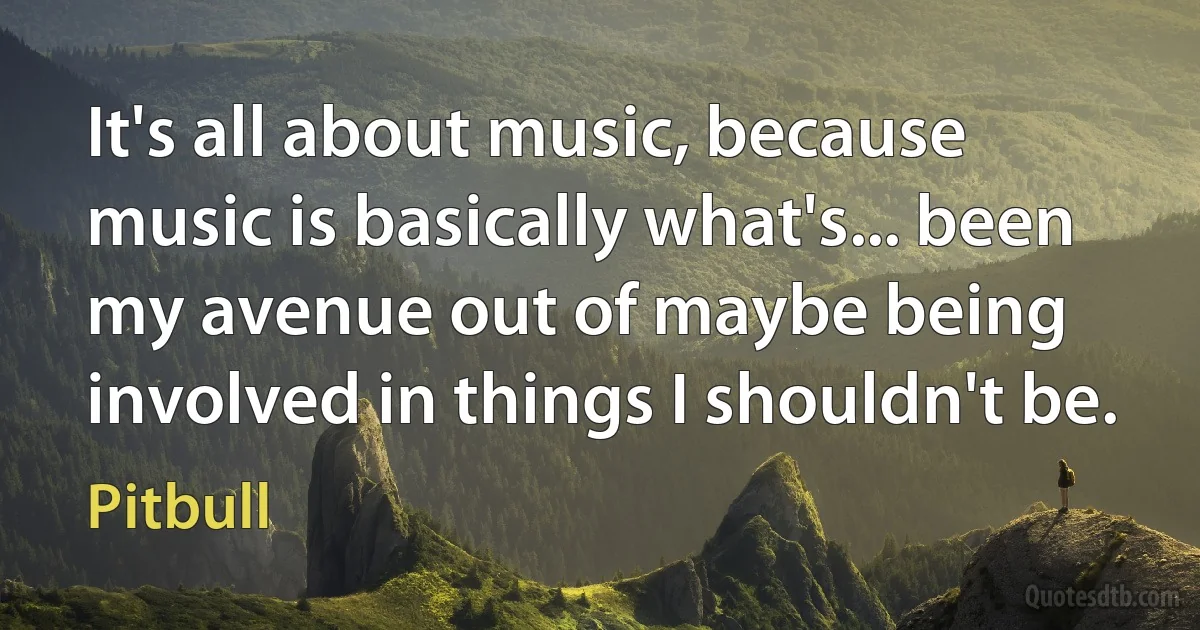 It's all about music, because music is basically what's... been my avenue out of maybe being involved in things I shouldn't be. (Pitbull)