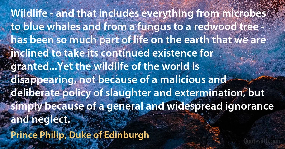 Wildlife - and that includes everything from microbes to blue whales and from a fungus to a redwood tree - has been so much part of life on the earth that we are inclined to take its continued existence for granted...Yet the wildlife of the world is disappearing, not because of a malicious and deliberate policy of slaughter and extermination, but simply because of a general and widespread ignorance and neglect. (Prince Philip, Duke of Edinburgh)