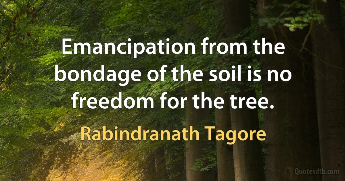 Emancipation from the bondage of the soil is no freedom for the tree. (Rabindranath Tagore)