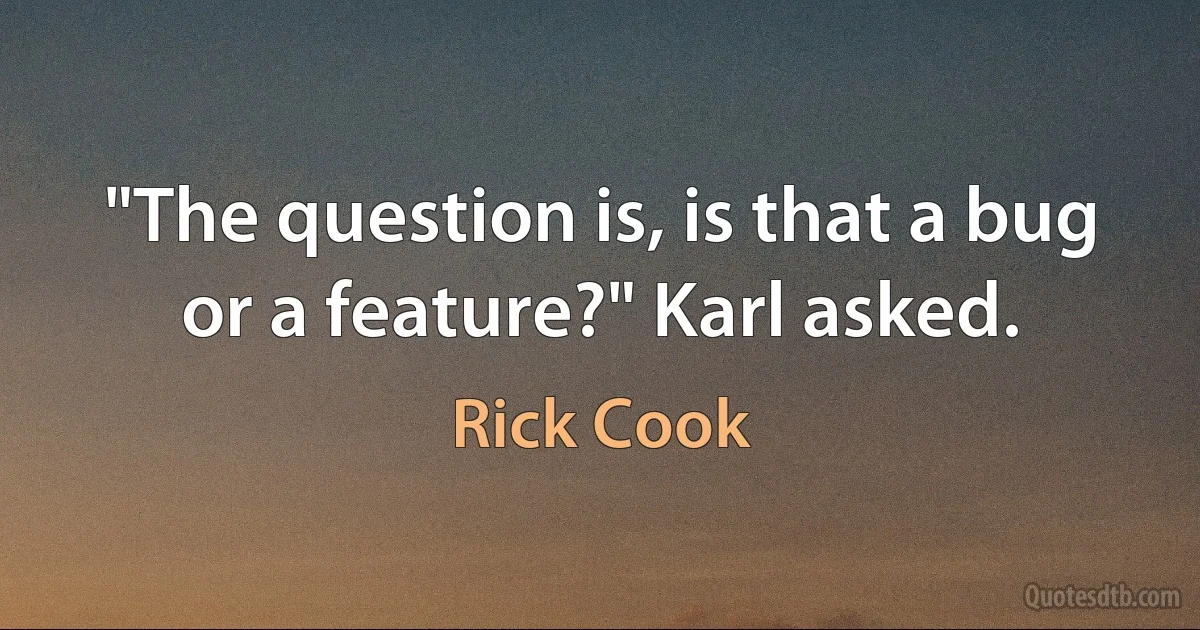 "The question is, is that a bug or a feature?" Karl asked. (Rick Cook)