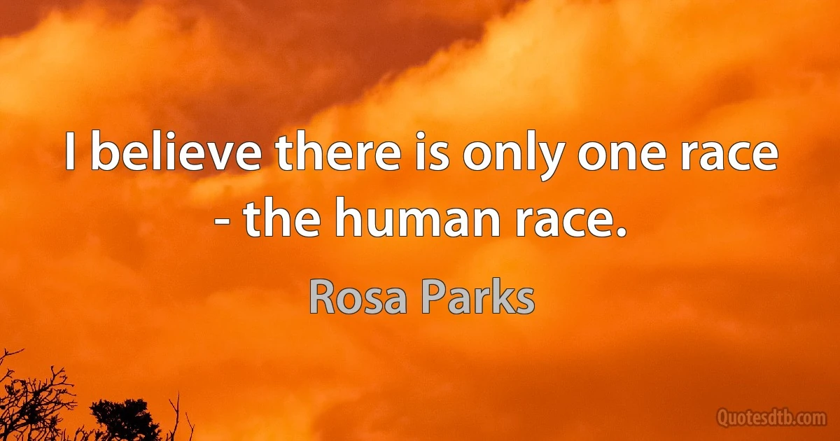 I believe there is only one race - the human race. (Rosa Parks)