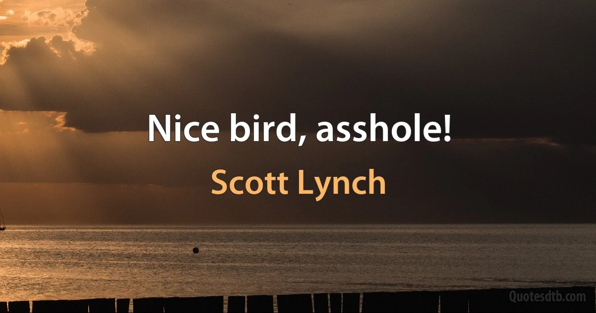 Nice bird, asshole! (Scott Lynch)