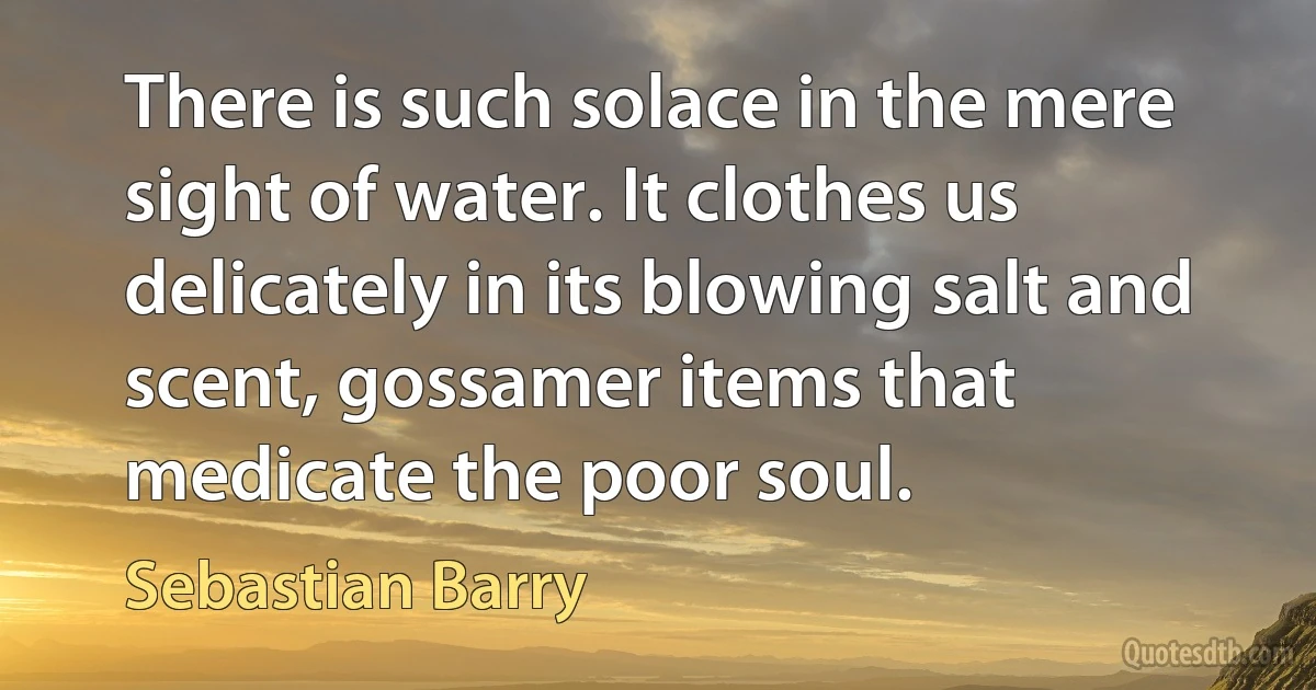 There is such solace in the mere sight of water. It clothes us delicately in its blowing salt and scent, gossamer items that medicate the poor soul. (Sebastian Barry)